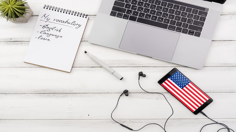 Drovenio IT Career Tips USA: A Helpful Guide for Building a Successful Tech Career